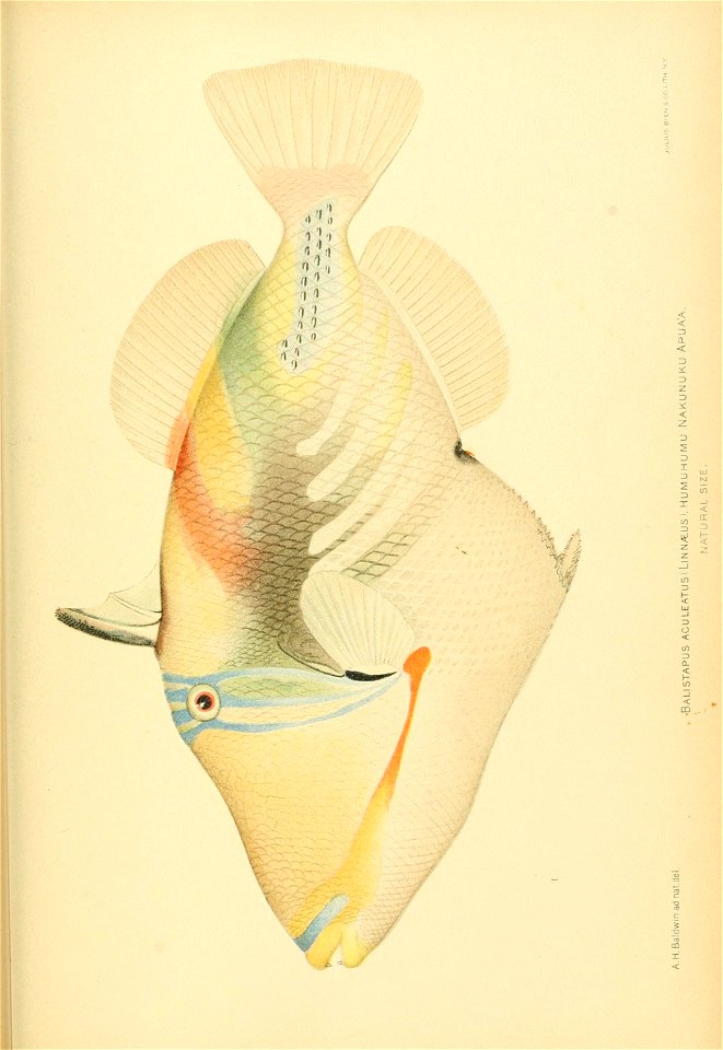 n862_w1150