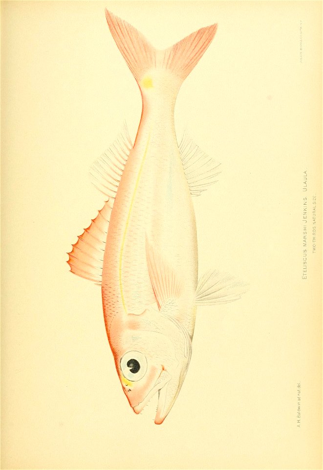 n772_w1150