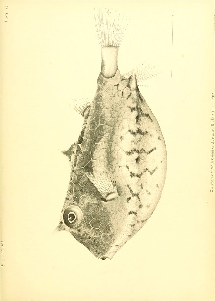 n582_w1150