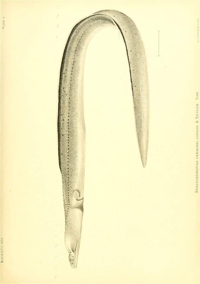 n132_w1150