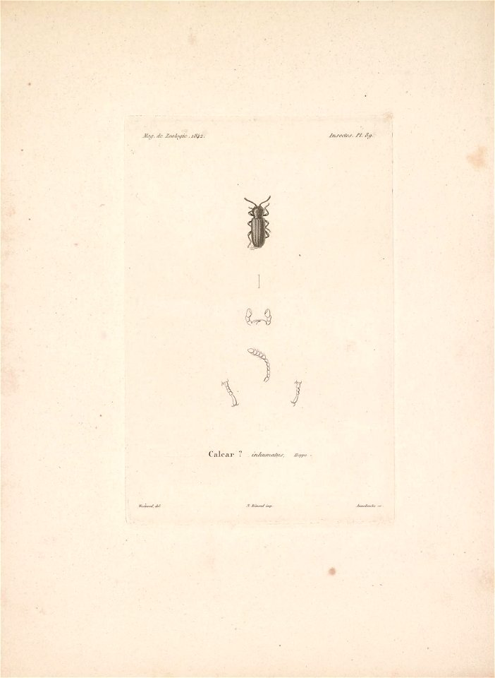 n102_w1150