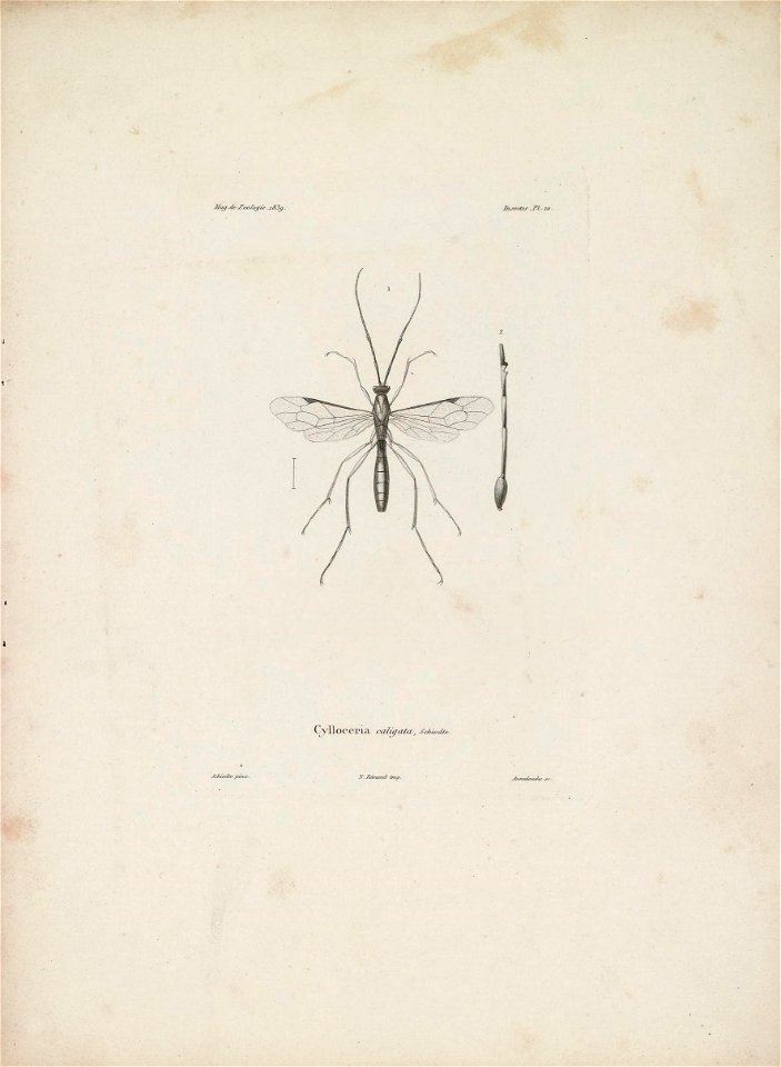 n102_w1150