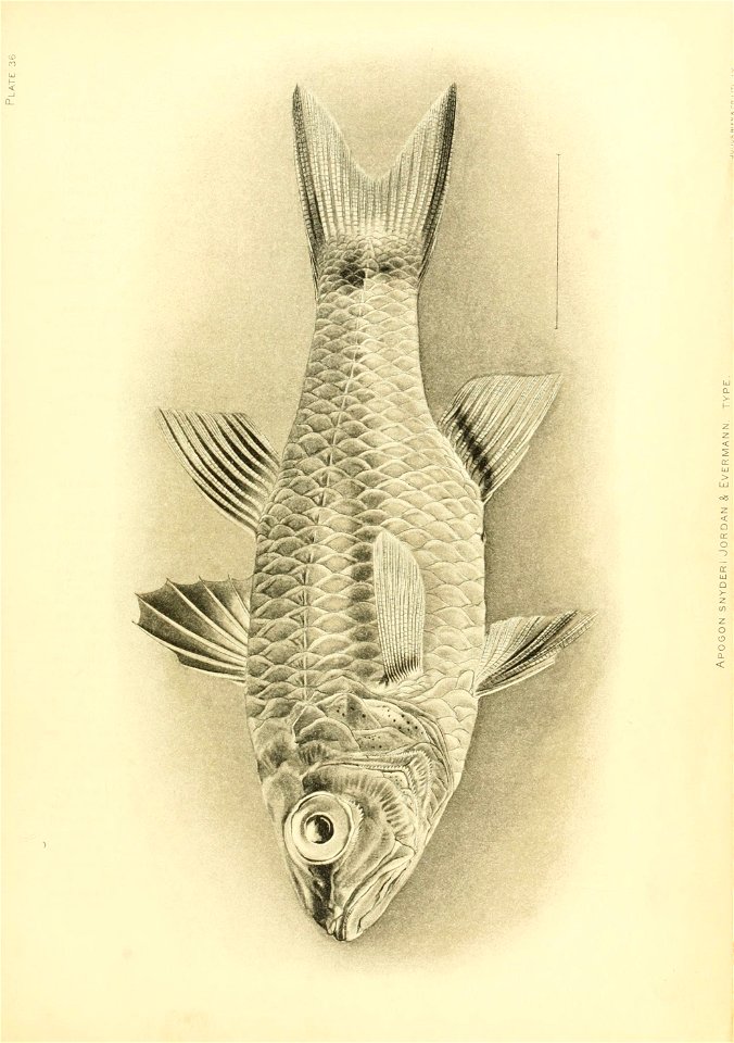 n320_w1150