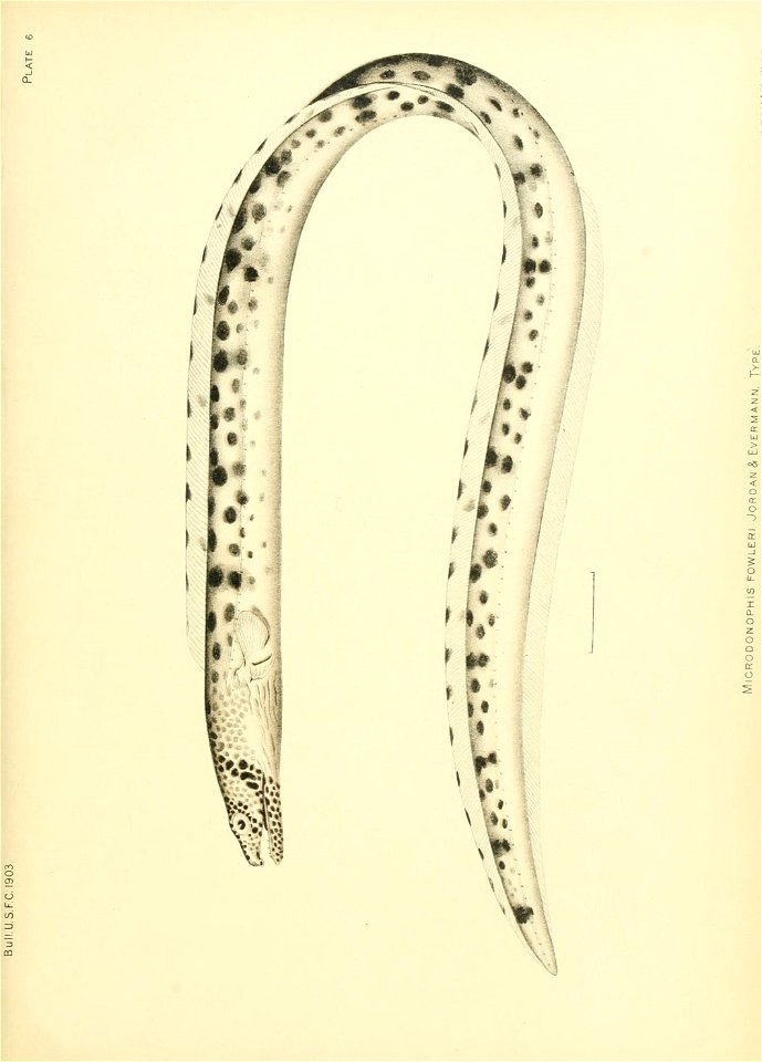 n128_w1150