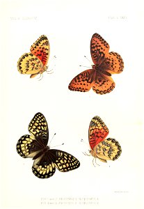 n874_w1150