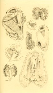 n154_w1150