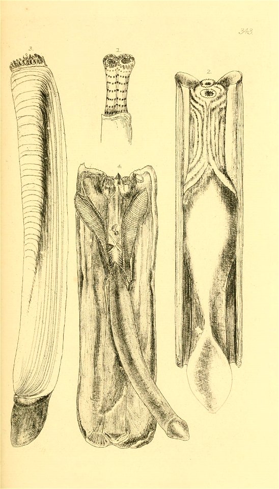 n124_w1150
