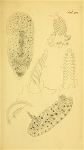 n158_w1150