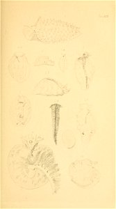 n194_w1150
