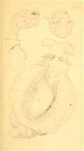 n164_w1150