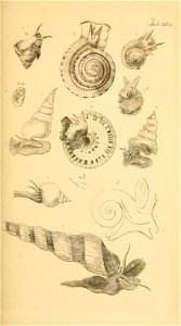 n134_w1150