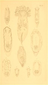 n168_w1150