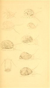 n108_w1150