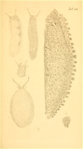 n252_w1150
