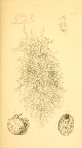 n192_w1150