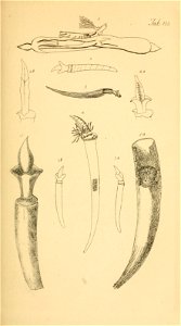 n102_w1150