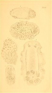 n166_w1150