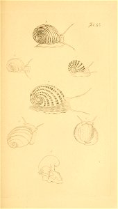 n106_w1150