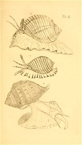 n46_w1150