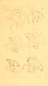 n16_w1150