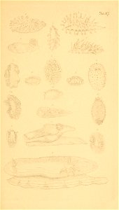 n164_w1150