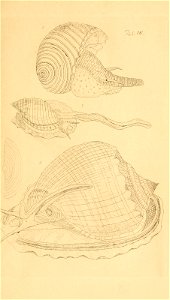 n44_w1150