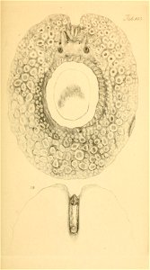 n218_w1150
