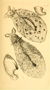 n158_w1150