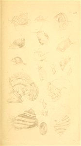 n128_w1150