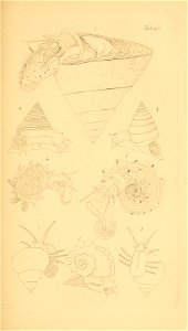 n102_w1150