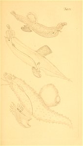 n156_w1150