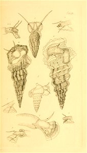 n126_w1150