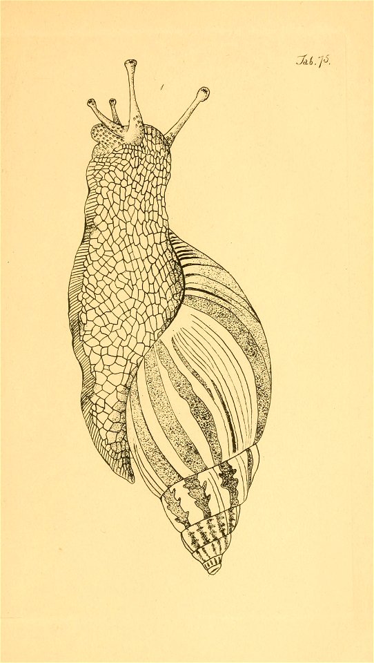 n184_w1150