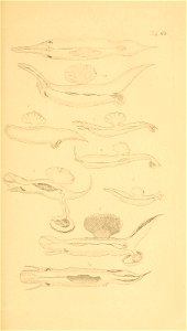 n154_w1150