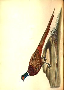 n179_w1150