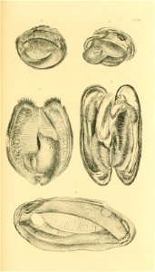 n166_w1150