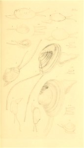n76_w1150