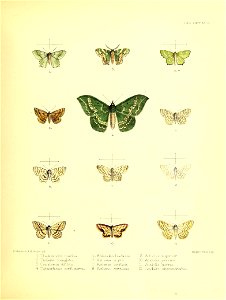 n124_w1150