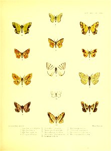 n146_w1150