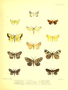 n120_w1150