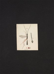 n46_w1150