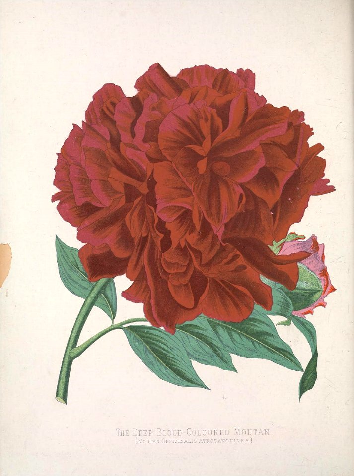 n59_w1150