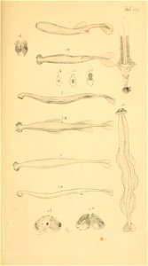 n256_w1150