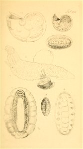 n196_w1150