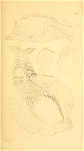 n166_w1150