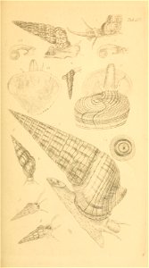n136_w1150