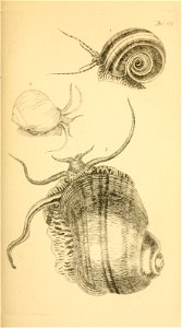 n106_w1150