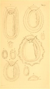 n170_w1150