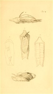 n50_w1150