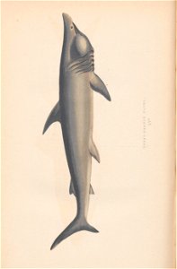 n567_w1150